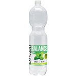 DrWitt Balance Máta jemně perlivá 6 x 1,5 l – Hledejceny.cz