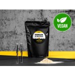 Železná koule Protein 1000 g – Zbozi.Blesk.cz