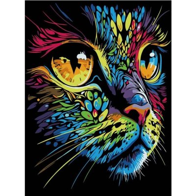 Reeves Malování podle čísel na černé plátno KOČKA 30 x 40 cm – Zboží Dáma