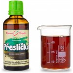 Bylinné kapky Přeslička 50 ml – Hledejceny.cz