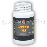 Czech Virus Synephrine MAX 200 kapslí – Zboží Dáma