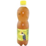 Stevikom Kombucha bancha citron bio 0,5 l – Zboží Dáma