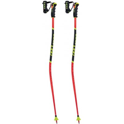 Leki WCR Lite GS 3D Jr 2022/23 – Zbozi.Blesk.cz