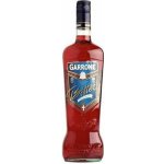 GARRONE BITTER 1 l (holá láhev) – Sleviste.cz