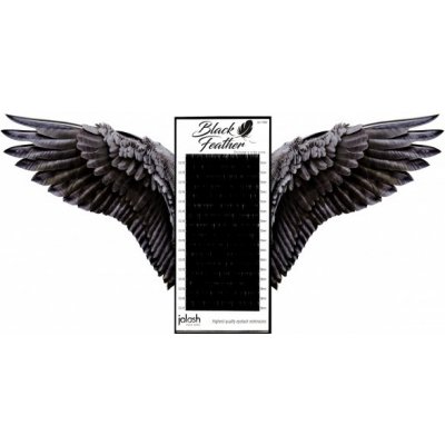 Jolash Řasy Black Feather Volume D 0,07 11 mm – Zboží Mobilmania