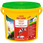 Sera KOI Color large 3,8 l – Zbozi.Blesk.cz