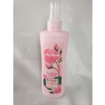 BioFresh přírodní růžová voda ve spreji 230 ml – Zboží Dáma BioFresh přírodní růžová voda ve spreji 230 ml – Zboží Dáma