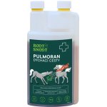 Root&Snoot Pulmoran Dých.cesty pro koně sirup 1 l – Hledejceny.cz
