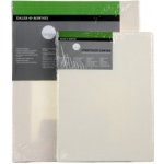 ProArts Daler Rowney Malířské plátno simply 50 x 60 cm – Sleviste.cz