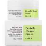 Cosrx Centella Blemish Spot Cream protizánětlivý krém s extraktem pupečníku asijského 30 ml – Hledejceny.cz