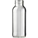 Vetropack Skleněná lahev Fruchtsaft 250 ml - TO 38 - paleta 5200 ks – Hledejceny.cz