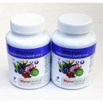 MycoMedica MULTIcell 2 x 90 kapslí – Hledejceny.cz