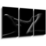 Obraz 3D třídílný - 90 x 50 cm - Sexy body nude woman. Naked sensual beautiful girl. Artistic black and white photo. Sexy tělo nahá žena. Nahá smyslná krásná dívka. Uměl – Zbozi.Blesk.cz