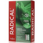 Farmona Radical Hair Loss péče proti vypadávání vlasů Horse Tail Provitamine B5 Trichogen Polyplant Hair Inuline 15 x 5 ml – Zboží Mobilmania