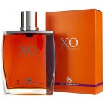 A. De Fussigny Fine Cognac Champagne XO 40% 0,5 l (karton) – Zboží Dáma