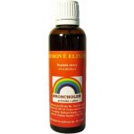 Nový obzor Broncholen duhové elixíry 50 ml – Hledejceny.cz