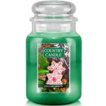 Country Candle Holiday Sweets 652 g – Zbozi.Blesk.cz