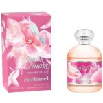 Cacharel Anaïs Anaïs Premier Délice toaletní voda dámská 100 ml – Hledejceny.cz