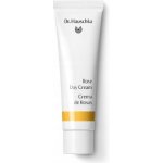 Dr. Hauschka Facial Care Rose Day Cream denní krém z růže 30 ml – Sleviste.cz