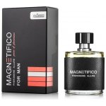 Magnetifico Pheromone Allure pro muže 2ml – Zboží Dáma