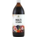 EkoMedica Czech Multivitamín 1000 ml – Hledejceny.cz