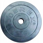 Spokey SINIS Litinový kotouč 29 mm 5 kg – Hledejceny.cz