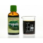 Bylinné kapky Propolis tinktura 50 ml – Hledejceny.cz