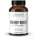 Energy Boost pro dlouhotrvající energii 30 tablet – Hledejceny.cz