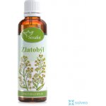 Serafin byliny Zlatobýl tinktura z bylin 50 ml – Hledejceny.cz