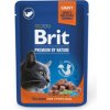 Kapsička pro kočky Brit Premium Cat Sterilised Salmon 24 x 100 g