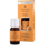 Chesapeake Bay Aroma olej Energise 10 ml – Hledejceny.cz