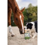 Dromy konopný olej 0,5 l – Sleviste.cz