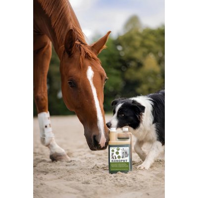 Dromy konopný olej 0,5 l – Sleviste.cz