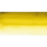 Sennelier akvarelová barva 1/2 857 Brown Green – Hledejceny.cz