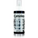 Delia Cosmetics Cameleo Spray & Go silver 150 ml