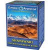 Čaj Everest Ayurveda SHATAWARI himalájský bylinný čaj při onkologické léčbě 100 g