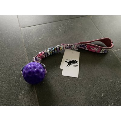 Sweet Energy.cz Geo ball bungee Agility komiks – Zboží Dáma