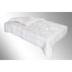 Brotex AntiStress letní 450g 140x200 – Zboží Dáma