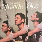 Joey Dosik - Inside Voice LP – Zboží Mobilmania