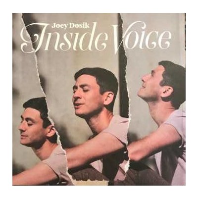 Joey Dosik - Inside Voice LP – Zboží Mobilmania