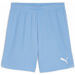 Puma teamGOAL Shorts – Zboží Mobilmania