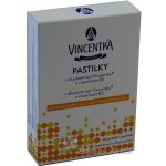Vincentka Osvěžující ovocné pastilky 18 ks – Hledejceny.cz