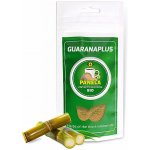 GuaranaPlus Panela ztuhlá třtinová šťáva 100 g – Sleviste.cz