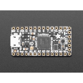 Adafruit ItsyBitsy M4 Express