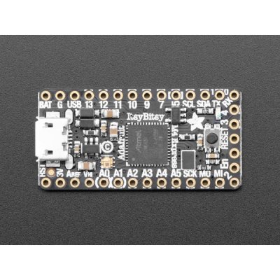 Adafruit ItsyBitsy M4 Express – Zboží Dáma