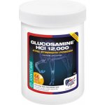 EQUINE AMERICA Glucosamine HCI 12.000 1 kg – Hledejceny.cz
