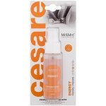 Mr&Mrs Fragrance Cesare Spray Energy – Hledejceny.cz