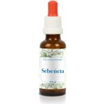 Bachovy esence Sebeúcta kapky 30 ml – Hledejceny.cz