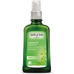 Weleda březový olej na celutitidu 200 ml – Zboží Dáma