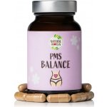 NaturalProtein PMS Balance 60 kapslí – Hledejceny.cz